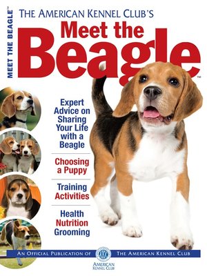 cover image of Meet the Beagle